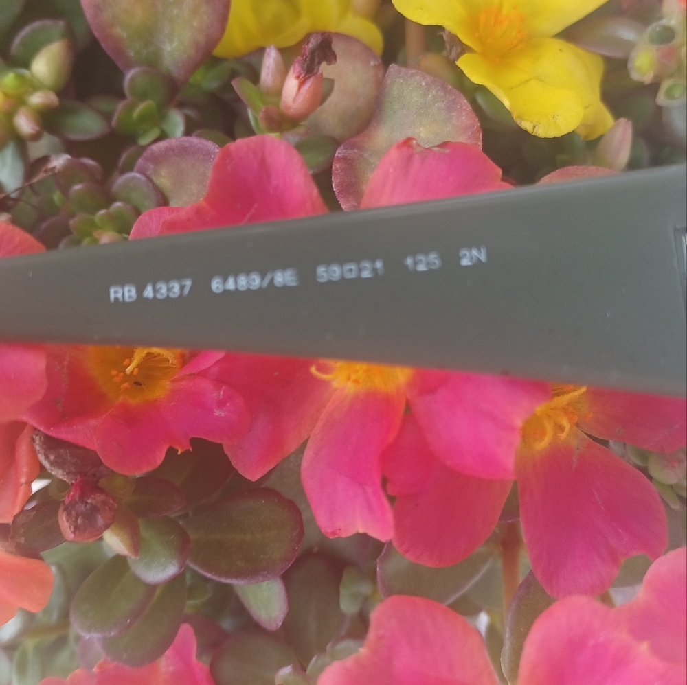 RAY BAN SUNGLASSES NWT ( SOLD OUT) IN THIS COLOR - Picture 8 of 9